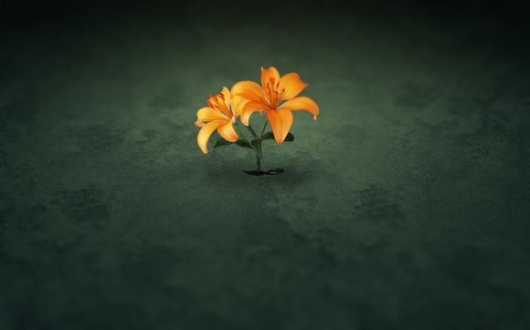 cf准星怎么设置出红点
