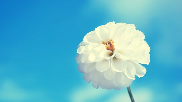 靠谱的数据恢复软件