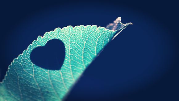 软件设计师考试报名时间